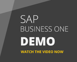 SAP Business One Demo