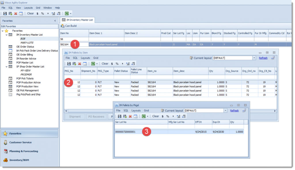 WiSys Agility Explorer pallet view