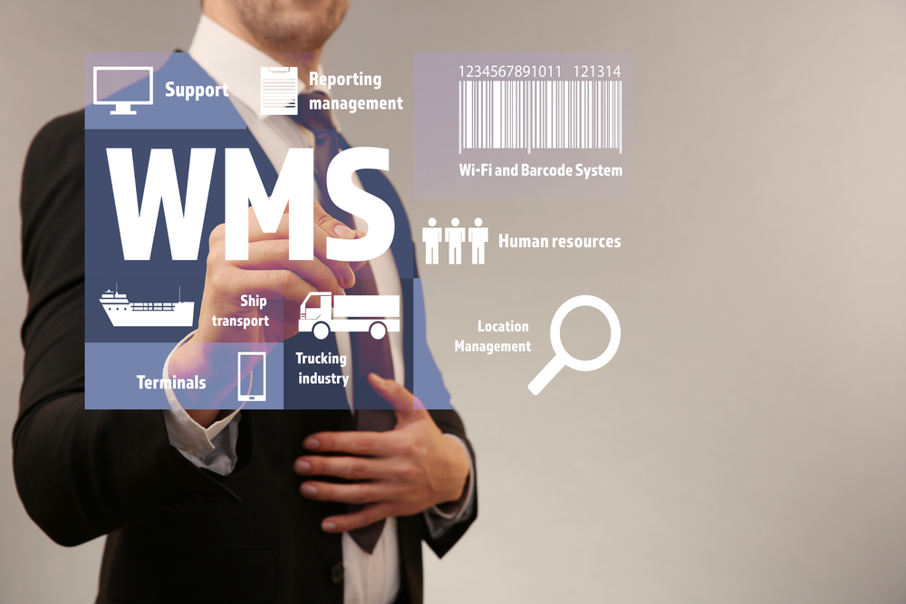 What Are The Different Kinds of WMS?